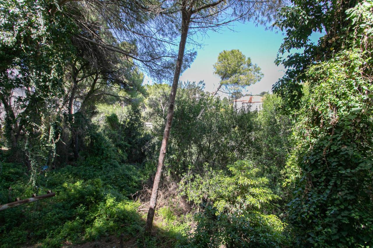 Carmel Boutique Apartments - Urban Forest Haifa Kültér fotó